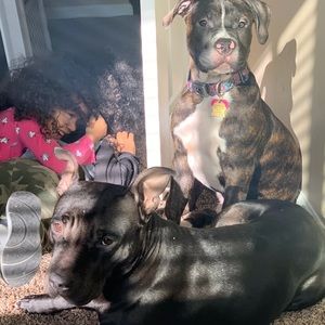 Meet your Posher, Diana